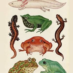 Meet your Posher, Lindsay